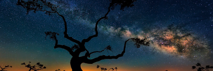 Cover image for post Colonists - Leader, part 9, by jim_survak