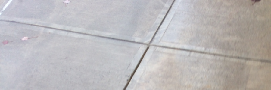 Cover image for post Wet Sidewalks, by Rev_Frenchie