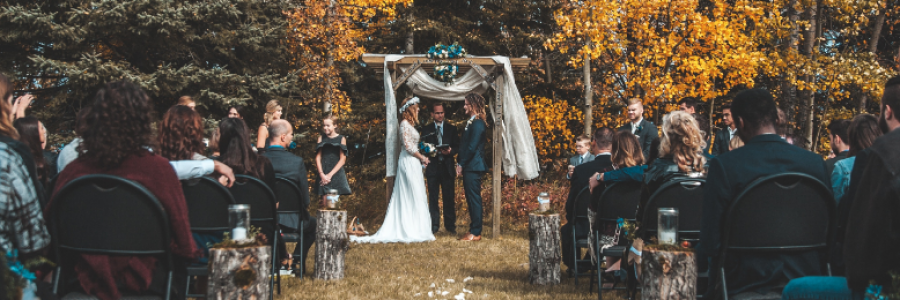 Cover image for post The Signs of Autumn, by MsHannahTweets