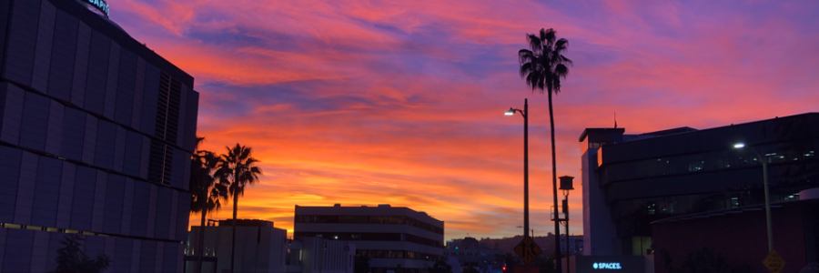 Cover image for post Holding Nothing Back, by AuthorJMo