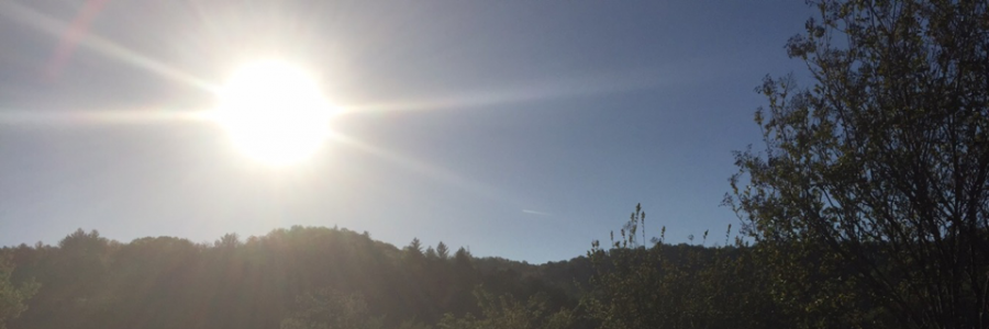 Cover image for post Color Me, by TAJtheWriter