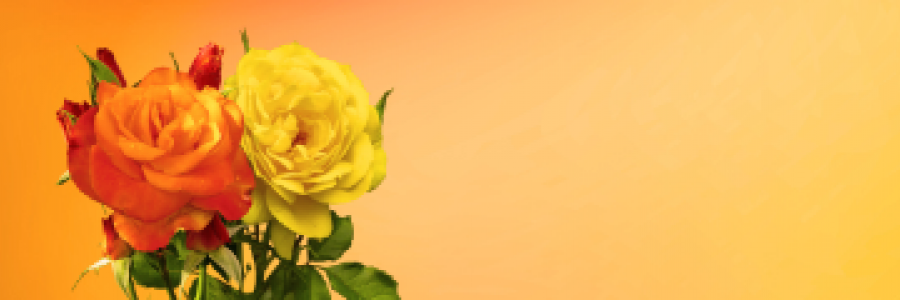 Cover image for post Temptation, by ajayamitabh7