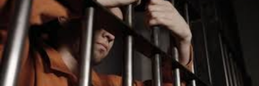 Cover image for post Transformation, by sandflea68