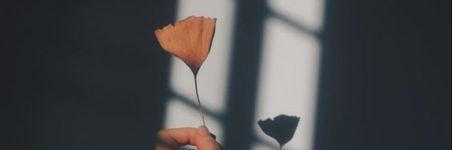 Cover image for post empty sounds, by anarosewood