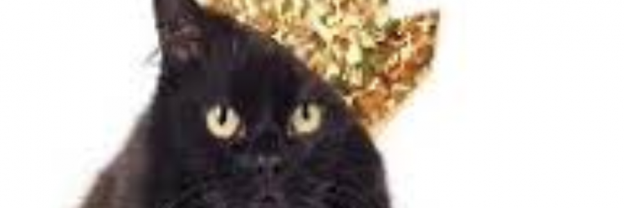 Cover image for post King of Caves, by sandflea68