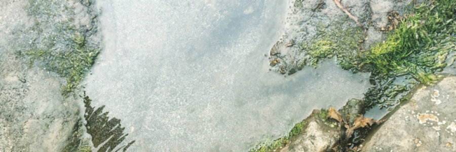 Cover image for post Summer 2018, by LMB