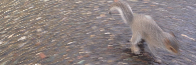 Cover image for post don't be selfish, by unspecific