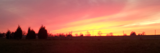 Cover image for post Untitled, by StephanieMHogan