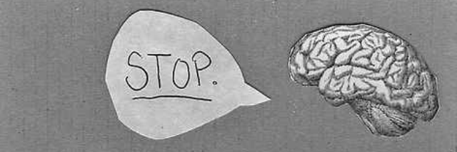 Cover image for post Heart.              Brain., by Imnotawriter16