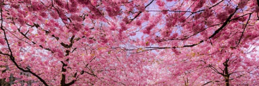 Cover image for post Sandcastles and Football, by TheJovialWriter