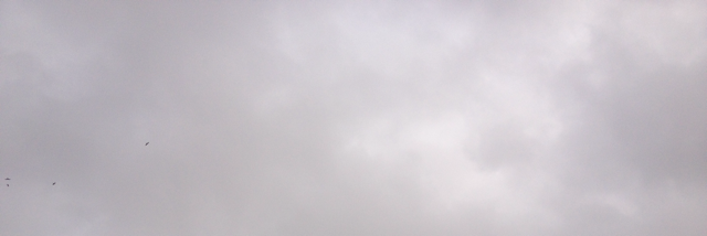 Cover image for post Time, by Luna