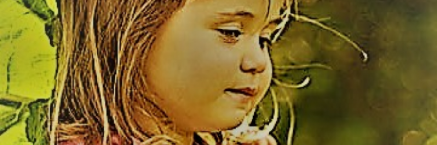 Cover image for post Red Rhubarb, by sandflea68