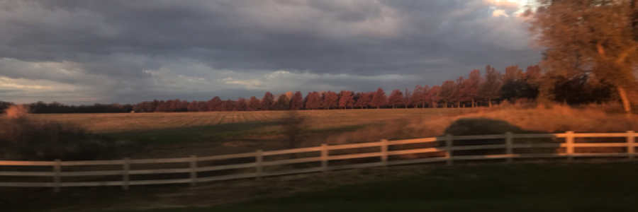 Cover image for post Two, by Rev_Frenchie