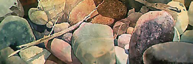 Cover image for post C*nt, by Anonnymouse