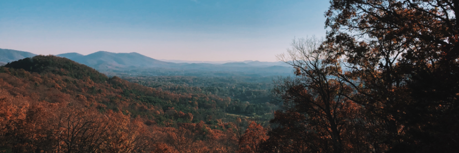 Cover image for post autumn, by isabelabeville