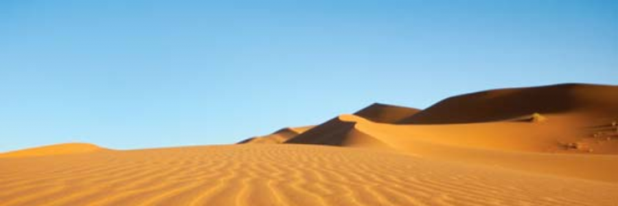 Cover image for post Golden Dust, by TurquoiseTurtle