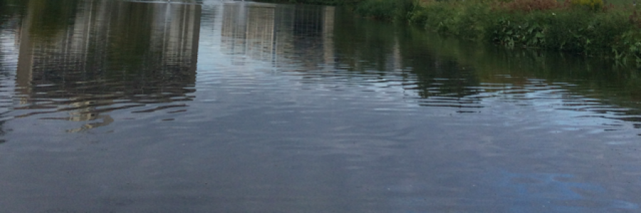 Cover image for post The Trail Of Tears, by Rev_Frenchie