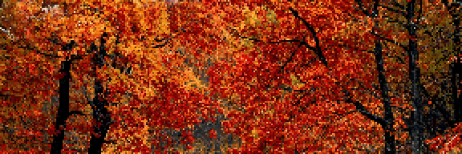 Cover image for post How Autumn feels like to me., by Chidiogor