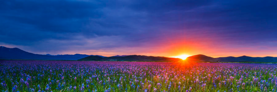 Cover image for post His Word, by Dehlia