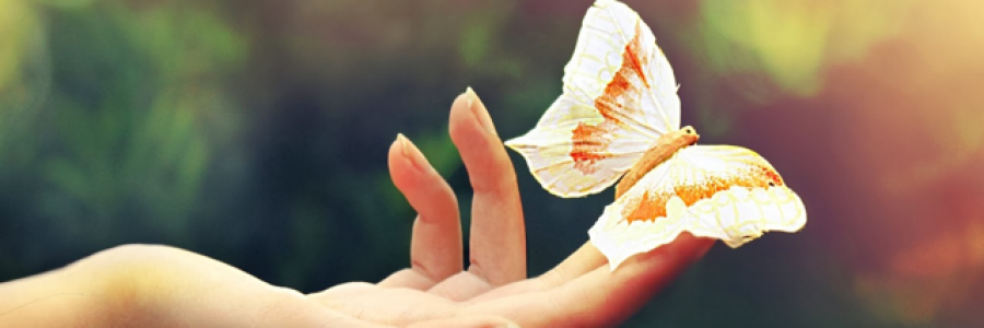 Cover image for post Letting Go, by Dehlia