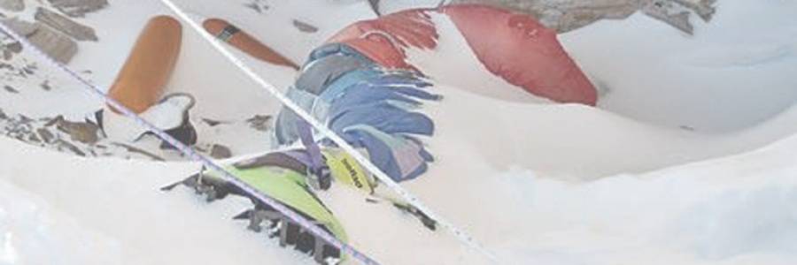 Cover image for post Last Meal, by sandflea68