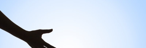 Cover image for post Reach out, by MrCactus