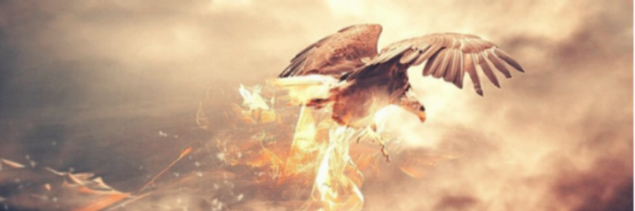 Cover image for post Molting , by CreativeChaos