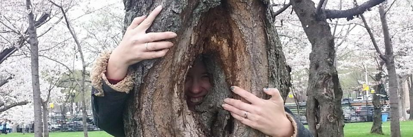 Cover image for post Sonorous Melange, by blurosemd