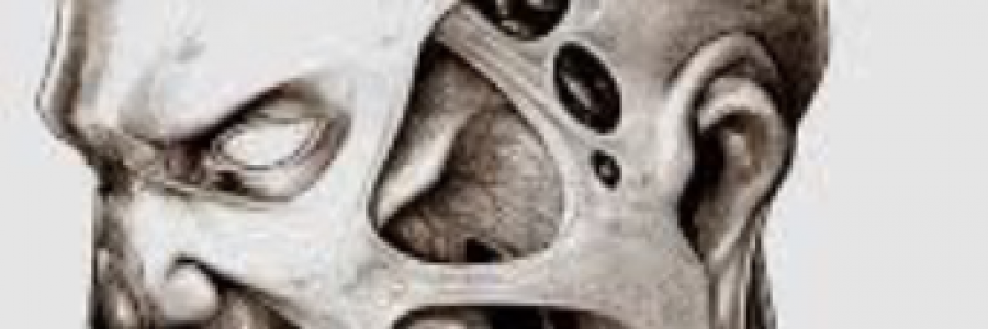 Cover image for post overhaul.Beginning, by Mnezz