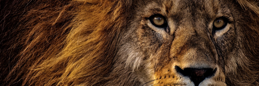 Cover image for post Business, by Glace