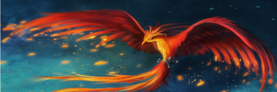 Cover image for post ~●TwoBirds○~, by CreativeChaos