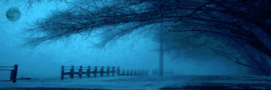 Cover image for post My Final Gift, by dustygrein