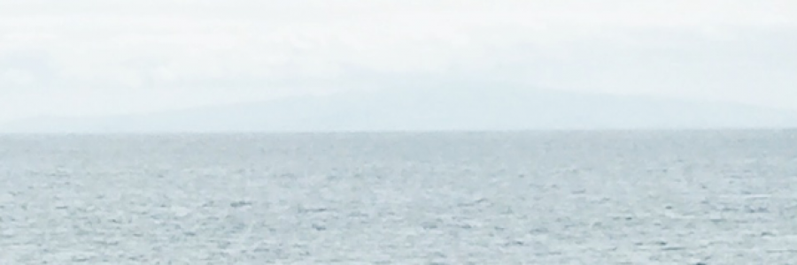 Cover image for post small moments, by paintedlady