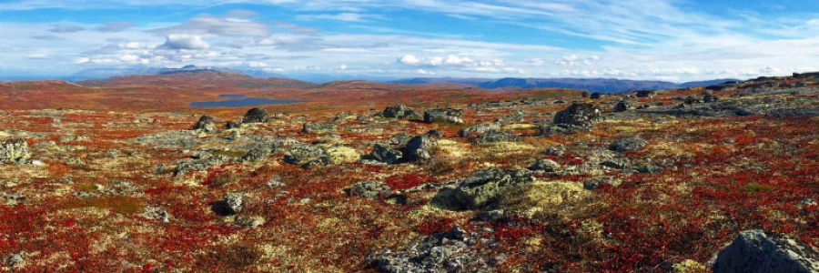 Cover image for post Kesugi Ridge, by northernlight