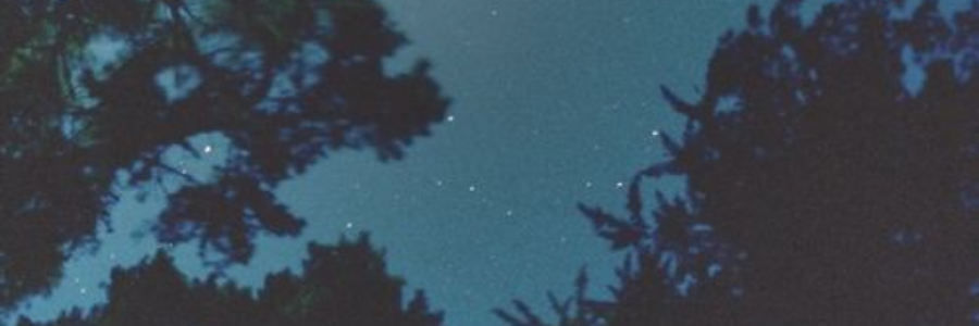 Cover image for post Slowly now, but with strength, by anarosewood