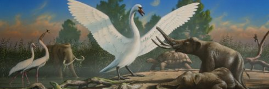 Cover image for post On The Seventh Day of Christmas, A Paleontologist Made a Big Discovery, by Harry_Situation