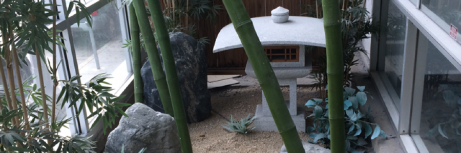 Cover image for post Stumbling For Pictures, by Beth