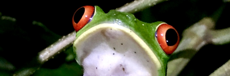 Cover image for post It's About Time, by Anitarosner