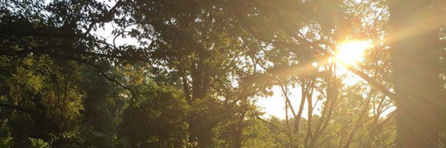 Cover image for post Fear, by elviraraposo