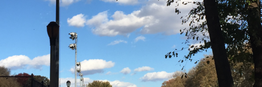 Cover image for post Lost, by elviraraposo