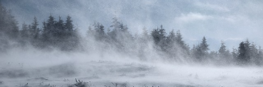 Cover image for post Cold, by 2Bamboopanda