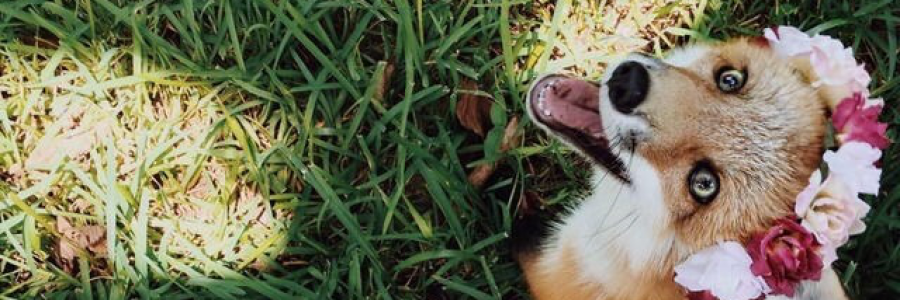 Cover image for post Magick, by Unity