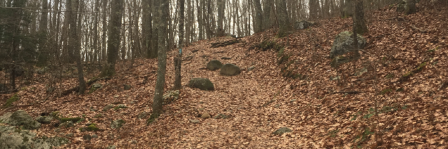 Cover image for post Lazy Sunday, by Ken_W_Writer