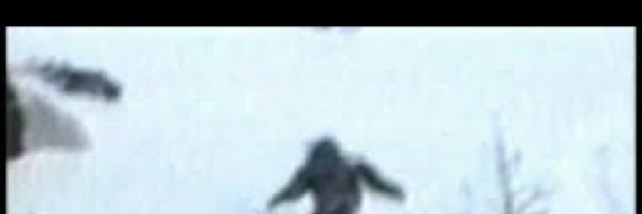 Cover image for post The Snowflake, by Lovehurts