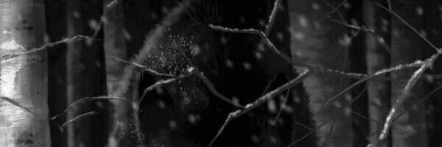 Cover image for post Primal Craving, by SirNilo