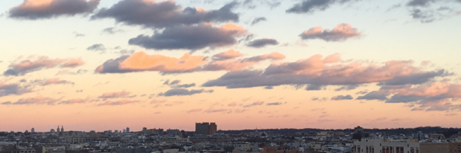 Cover image for post 2018, by elviraraposo