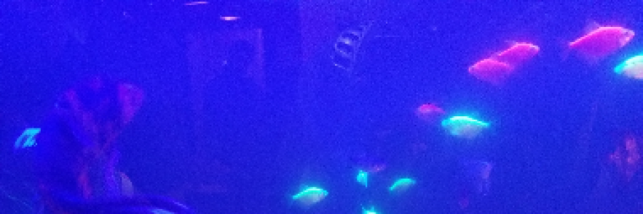 Cover image for post Specifics, by Donte_king