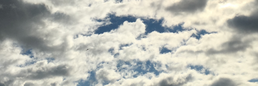 Cover image for post Lessons Through Gratitude., by elviraraposo