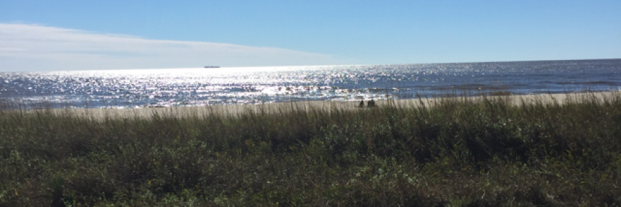 Cover image for post Waves, by Lostsoul90