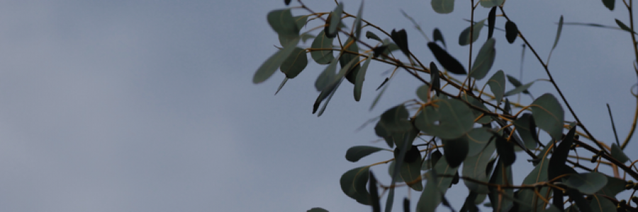 Cover image for post fill me, by paintedlady